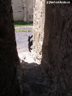 [P21] Cetatea Rupea - suntem intre doua cetati: de Mijloc si de Sus » foto by RoF*
 - 
<span class="allrVoted glyphicon glyphicon-heart hidden" id="av520073"></span>
<a class="m-l-10 hidden" id="sv520073" onclick="voting_Foto_DelVot(,520073,18593)" role="button">șterge vot <span class="glyphicon glyphicon-remove"></span></a>
<a id="v9520073" class=" c-red"  onclick="voting_Foto_SetVot(520073)" role="button"><span class="glyphicon glyphicon-heart-empty"></span> <b>LIKE</b> = Votează poza</a> <img class="hidden"  id="f520073W9" src="/imagini/loader.gif" border="0" /><span class="AjErrMes hidden" id="e520073ErM"></span>