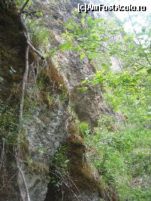 [P20] Aici, m-am oprit, am facut aproape intreg ocolul cetatii, de-acum incolo as avea nevoie de echipament de alpinist » foto by dorgo
 - 
<span class="allrVoted glyphicon glyphicon-heart hidden" id="av202483"></span>
<a class="m-l-10 hidden" id="sv202483" onclick="voting_Foto_DelVot(,202483,18593)" role="button">șterge vot <span class="glyphicon glyphicon-remove"></span></a>
<a id="v9202483" class=" c-red"  onclick="voting_Foto_SetVot(202483)" role="button"><span class="glyphicon glyphicon-heart-empty"></span> <b>LIKE</b> = Votează poza</a> <img class="hidden"  id="f202483W9" src="/imagini/loader.gif" border="0" /><span class="AjErrMes hidden" id="e202483ErM"></span>