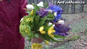 [P13] Buchet de flori salbatice » foto by noi doi
 - 
<span class="allrVoted glyphicon glyphicon-heart hidden" id="av610190"></span>
<a class="m-l-10 hidden" id="sv610190" onclick="voting_Foto_DelVot(,610190,18595)" role="button">șterge vot <span class="glyphicon glyphicon-remove"></span></a>
<a id="v9610190" class=" c-red"  onclick="voting_Foto_SetVot(610190)" role="button"><span class="glyphicon glyphicon-heart-empty"></span> <b>LIKE</b> = Votează poza</a> <img class="hidden"  id="f610190W9" src="/imagini/loader.gif" border="0" /><span class="AjErrMes hidden" id="e610190ErM"></span>