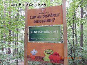 [P13] La Dino Parc din Rasnov.  » foto by Diaura*
 - 
<span class="allrVoted glyphicon glyphicon-heart hidden" id="av1059187"></span>
<a class="m-l-10 hidden" id="sv1059187" onclick="voting_Foto_DelVot(,1059187,18612)" role="button">șterge vot <span class="glyphicon glyphicon-remove"></span></a>
<a id="v91059187" class=" c-red"  onclick="voting_Foto_SetVot(1059187)" role="button"><span class="glyphicon glyphicon-heart-empty"></span> <b>LIKE</b> = Votează poza</a> <img class="hidden"  id="f1059187W9" src="/imagini/loader.gif" border="0" /><span class="AjErrMes hidden" id="e1059187ErM"></span>