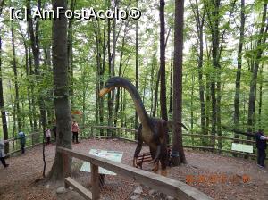 [P17] La Dino Parc din Rasnov.  » foto by Diaura*
 - 
<span class="allrVoted glyphicon glyphicon-heart hidden" id="av1059191"></span>
<a class="m-l-10 hidden" id="sv1059191" onclick="voting_Foto_DelVot(,1059191,18612)" role="button">șterge vot <span class="glyphicon glyphicon-remove"></span></a>
<a id="v91059191" class=" c-red"  onclick="voting_Foto_SetVot(1059191)" role="button"><span class="glyphicon glyphicon-heart-empty"></span> <b>LIKE</b> = Votează poza</a> <img class="hidden"  id="f1059191W9" src="/imagini/loader.gif" border="0" /><span class="AjErrMes hidden" id="e1059191ErM"></span>