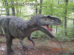 [P18] La Dino Parc din Rasnov.  » foto by Diaura*
 - 
<span class="allrVoted glyphicon glyphicon-heart hidden" id="av1059192"></span>
<a class="m-l-10 hidden" id="sv1059192" onclick="voting_Foto_DelVot(,1059192,18612)" role="button">șterge vot <span class="glyphicon glyphicon-remove"></span></a>
<a id="v91059192" class=" c-red"  onclick="voting_Foto_SetVot(1059192)" role="button"><span class="glyphicon glyphicon-heart-empty"></span> <b>LIKE</b> = Votează poza</a> <img class="hidden"  id="f1059192W9" src="/imagini/loader.gif" border="0" /><span class="AjErrMes hidden" id="e1059192ErM"></span>