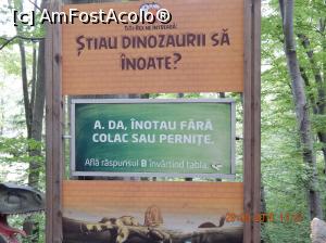 [P19] La Dino Parc din Rasnov.  » foto by Diaura*
 - 
<span class="allrVoted glyphicon glyphicon-heart hidden" id="av1059193"></span>
<a class="m-l-10 hidden" id="sv1059193" onclick="voting_Foto_DelVot(,1059193,18612)" role="button">șterge vot <span class="glyphicon glyphicon-remove"></span></a>
<a id="v91059193" class=" c-red"  onclick="voting_Foto_SetVot(1059193)" role="button"><span class="glyphicon glyphicon-heart-empty"></span> <b>LIKE</b> = Votează poza</a> <img class="hidden"  id="f1059193W9" src="/imagini/loader.gif" border="0" /><span class="AjErrMes hidden" id="e1059193ErM"></span>