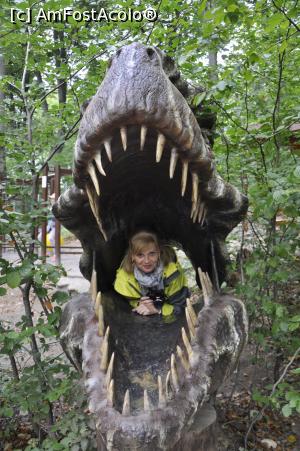 [P05] La Dino Parc din Rasnov.  » foto by Diaura*
 - 
<span class="allrVoted glyphicon glyphicon-heart hidden" id="av1059179"></span>
<a class="m-l-10 hidden" id="sv1059179" onclick="voting_Foto_DelVot(,1059179,18612)" role="button">șterge vot <span class="glyphicon glyphicon-remove"></span></a>
<a id="v91059179" class=" c-red"  onclick="voting_Foto_SetVot(1059179)" role="button"><span class="glyphicon glyphicon-heart-empty"></span> <b>LIKE</b> = Votează poza</a> <img class="hidden"  id="f1059179W9" src="/imagini/loader.gif" border="0" /><span class="AjErrMes hidden" id="e1059179ErM"></span>