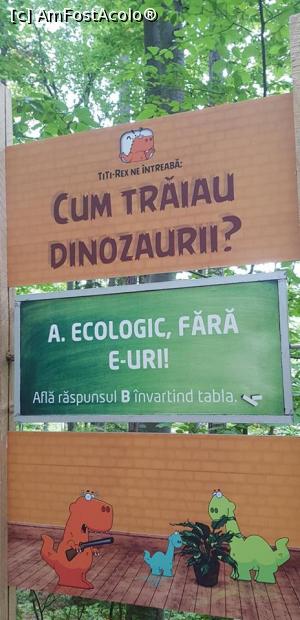 [P07] La Dino Parc din Rasnov.  » foto by Diaura*
 - 
<span class="allrVoted glyphicon glyphicon-heart hidden" id="av1059181"></span>
<a class="m-l-10 hidden" id="sv1059181" onclick="voting_Foto_DelVot(,1059181,18612)" role="button">șterge vot <span class="glyphicon glyphicon-remove"></span></a>
<a id="v91059181" class=" c-red"  onclick="voting_Foto_SetVot(1059181)" role="button"><span class="glyphicon glyphicon-heart-empty"></span> <b>LIKE</b> = Votează poza</a> <img class="hidden"  id="f1059181W9" src="/imagini/loader.gif" border="0" /><span class="AjErrMes hidden" id="e1059181ErM"></span>