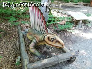 [P20] <i>Dino Parc Râșnov</i> » foto by ⭐ValentinB_88⭐
 - 
<span class="allrVoted glyphicon glyphicon-heart hidden" id="av1236063"></span>
<a class="m-l-10 hidden" id="sv1236063" onclick="voting_Foto_DelVot(,1236063,18612)" role="button">șterge vot <span class="glyphicon glyphicon-remove"></span></a>
<a id="v91236063" class=" c-red"  onclick="voting_Foto_SetVot(1236063)" role="button"><span class="glyphicon glyphicon-heart-empty"></span> <b>LIKE</b> = Votează poza</a> <img class="hidden"  id="f1236063W9" src="/imagini/loader.gif" border="0" /><span class="AjErrMes hidden" id="e1236063ErM"></span>