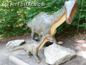 [P25] <i>Dino Parc Râșnov</i> » foto by ⭐ValentinB_88⭐
 - 
<span class="allrVoted glyphicon glyphicon-heart hidden" id="av1236068"></span>
<a class="m-l-10 hidden" id="sv1236068" onclick="voting_Foto_DelVot(,1236068,18612)" role="button">șterge vot <span class="glyphicon glyphicon-remove"></span></a>
<a id="v91236068" class=" c-red"  onclick="voting_Foto_SetVot(1236068)" role="button"><span class="glyphicon glyphicon-heart-empty"></span> <b>LIKE</b> = Votează poza</a> <img class="hidden"  id="f1236068W9" src="/imagini/loader.gif" border="0" /><span class="AjErrMes hidden" id="e1236068ErM"></span>