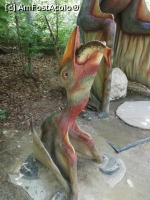 [P28] <i>Dino Parc Râșnov</i> » foto by ⭐ValentinB_88⭐
 - 
<span class="allrVoted glyphicon glyphicon-heart hidden" id="av1236071"></span>
<a class="m-l-10 hidden" id="sv1236071" onclick="voting_Foto_DelVot(,1236071,18612)" role="button">șterge vot <span class="glyphicon glyphicon-remove"></span></a>
<a id="v91236071" class=" c-red"  onclick="voting_Foto_SetVot(1236071)" role="button"><span class="glyphicon glyphicon-heart-empty"></span> <b>LIKE</b> = Votează poza</a> <img class="hidden"  id="f1236071W9" src="/imagini/loader.gif" border="0" /><span class="AjErrMes hidden" id="e1236071ErM"></span>