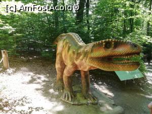 [P34] <i>Dino Parc Râșnov</i> » foto by ⭐ValentinB_88⭐
 - 
<span class="allrVoted glyphicon glyphicon-heart hidden" id="av1236077"></span>
<a class="m-l-10 hidden" id="sv1236077" onclick="voting_Foto_DelVot(,1236077,18612)" role="button">șterge vot <span class="glyphicon glyphicon-remove"></span></a>
<a id="v91236077" class=" c-red"  onclick="voting_Foto_SetVot(1236077)" role="button"><span class="glyphicon glyphicon-heart-empty"></span> <b>LIKE</b> = Votează poza</a> <img class="hidden"  id="f1236077W9" src="/imagini/loader.gif" border="0" /><span class="AjErrMes hidden" id="e1236077ErM"></span>