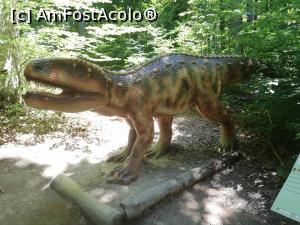 [P35] <i>Dino Parc Râșnov</i> » foto by ⭐ValentinB_88⭐
 - 
<span class="allrVoted glyphicon glyphicon-heart hidden" id="av1236078"></span>
<a class="m-l-10 hidden" id="sv1236078" onclick="voting_Foto_DelVot(,1236078,18612)" role="button">șterge vot <span class="glyphicon glyphicon-remove"></span></a>
<a id="v91236078" class=" c-red"  onclick="voting_Foto_SetVot(1236078)" role="button"><span class="glyphicon glyphicon-heart-empty"></span> <b>LIKE</b> = Votează poza</a> <img class="hidden"  id="f1236078W9" src="/imagini/loader.gif" border="0" /><span class="AjErrMes hidden" id="e1236078ErM"></span>