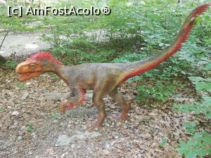 [P37] <i>Dino Parc Râșnov</i> » foto by ⭐ValentinB_88⭐
 - 
<span class="allrVoted glyphicon glyphicon-heart hidden" id="av1236080"></span>
<a class="m-l-10 hidden" id="sv1236080" onclick="voting_Foto_DelVot(,1236080,18612)" role="button">șterge vot <span class="glyphicon glyphicon-remove"></span></a>
<a id="v91236080" class=" c-red"  onclick="voting_Foto_SetVot(1236080)" role="button"><span class="glyphicon glyphicon-heart-empty"></span> <b>LIKE</b> = Votează poza</a> <img class="hidden"  id="f1236080W9" src="/imagini/loader.gif" border="0" /><span class="AjErrMes hidden" id="e1236080ErM"></span>