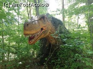 [P38] <i>Dino Parc Râșnov</i> » foto by ⭐ValentinB_88⭐
 - 
<span class="allrVoted glyphicon glyphicon-heart hidden" id="av1236081"></span>
<a class="m-l-10 hidden" id="sv1236081" onclick="voting_Foto_DelVot(,1236081,18612)" role="button">șterge vot <span class="glyphicon glyphicon-remove"></span></a>
<a id="v91236081" class=" c-red"  onclick="voting_Foto_SetVot(1236081)" role="button"><span class="glyphicon glyphicon-heart-empty"></span> <b>LIKE</b> = Votează poza</a> <img class="hidden"  id="f1236081W9" src="/imagini/loader.gif" border="0" /><span class="AjErrMes hidden" id="e1236081ErM"></span>