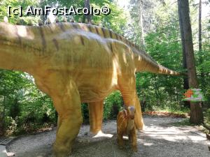 [P42] <i>Dino Parc Râșnov</i> » foto by ⭐ValentinB_88⭐
 - 
<span class="allrVoted glyphicon glyphicon-heart hidden" id="av1236085"></span>
<a class="m-l-10 hidden" id="sv1236085" onclick="voting_Foto_DelVot(,1236085,18612)" role="button">șterge vot <span class="glyphicon glyphicon-remove"></span></a>
<a id="v91236085" class=" c-red"  onclick="voting_Foto_SetVot(1236085)" role="button"><span class="glyphicon glyphicon-heart-empty"></span> <b>LIKE</b> = Votează poza</a> <img class="hidden"  id="f1236085W9" src="/imagini/loader.gif" border="0" /><span class="AjErrMes hidden" id="e1236085ErM"></span>