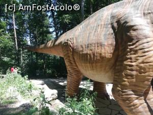 [P44] <i>Dino Parc Râșnov</i> » foto by ⭐ValentinB_88⭐
 - 
<span class="allrVoted glyphicon glyphicon-heart hidden" id="av1236087"></span>
<a class="m-l-10 hidden" id="sv1236087" onclick="voting_Foto_DelVot(,1236087,18612)" role="button">șterge vot <span class="glyphicon glyphicon-remove"></span></a>
<a id="v91236087" class=" c-red"  onclick="voting_Foto_SetVot(1236087)" role="button"><span class="glyphicon glyphicon-heart-empty"></span> <b>LIKE</b> = Votează poza</a> <img class="hidden"  id="f1236087W9" src="/imagini/loader.gif" border="0" /><span class="AjErrMes hidden" id="e1236087ErM"></span>