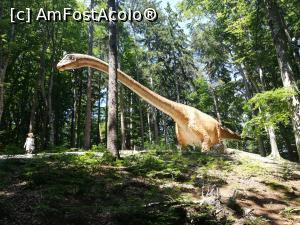 [P46] <i>Dino Parc Râșnov</i> » foto by ⭐ValentinB_88⭐
 - 
<span class="allrVoted glyphicon glyphicon-heart hidden" id="av1236089"></span>
<a class="m-l-10 hidden" id="sv1236089" onclick="voting_Foto_DelVot(,1236089,18612)" role="button">șterge vot <span class="glyphicon glyphicon-remove"></span></a>
<a id="v91236089" class=" c-red"  onclick="voting_Foto_SetVot(1236089)" role="button"><span class="glyphicon glyphicon-heart-empty"></span> <b>LIKE</b> = Votează poza</a> <img class="hidden"  id="f1236089W9" src="/imagini/loader.gif" border="0" /><span class="AjErrMes hidden" id="e1236089ErM"></span>