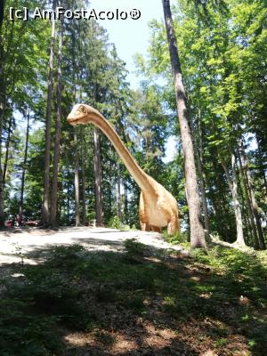 [P47] <i>Dino Parc Râșnov</i> » foto by ⭐ValentinB_88⭐
 - 
<span class="allrVoted glyphicon glyphicon-heart hidden" id="av1236090"></span>
<a class="m-l-10 hidden" id="sv1236090" onclick="voting_Foto_DelVot(,1236090,18612)" role="button">șterge vot <span class="glyphicon glyphicon-remove"></span></a>
<a id="v91236090" class=" c-red"  onclick="voting_Foto_SetVot(1236090)" role="button"><span class="glyphicon glyphicon-heart-empty"></span> <b>LIKE</b> = Votează poza</a> <img class="hidden"  id="f1236090W9" src="/imagini/loader.gif" border="0" /><span class="AjErrMes hidden" id="e1236090ErM"></span>