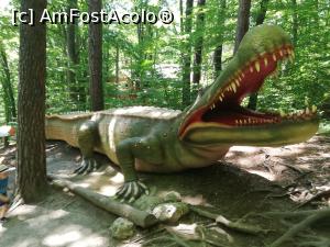 [P53] <i>Dino Parc Râșnov</i> » foto by ⭐ValentinB_88⭐
 - 
<span class="allrVoted glyphicon glyphicon-heart hidden" id="av1236096"></span>
<a class="m-l-10 hidden" id="sv1236096" onclick="voting_Foto_DelVot(,1236096,18612)" role="button">șterge vot <span class="glyphicon glyphicon-remove"></span></a>
<a id="v91236096" class=" c-red"  onclick="voting_Foto_SetVot(1236096)" role="button"><span class="glyphicon glyphicon-heart-empty"></span> <b>LIKE</b> = Votează poza</a> <img class="hidden"  id="f1236096W9" src="/imagini/loader.gif" border="0" /><span class="AjErrMes hidden" id="e1236096ErM"></span>