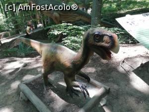 [P55] <i>Dino Parc Râșnov</i> » foto by ⭐ValentinB_88⭐
 - 
<span class="allrVoted glyphicon glyphicon-heart hidden" id="av1236098"></span>
<a class="m-l-10 hidden" id="sv1236098" onclick="voting_Foto_DelVot(,1236098,18612)" role="button">șterge vot <span class="glyphicon glyphicon-remove"></span></a>
<a id="v91236098" class=" c-red"  onclick="voting_Foto_SetVot(1236098)" role="button"><span class="glyphicon glyphicon-heart-empty"></span> <b>LIKE</b> = Votează poza</a> <img class="hidden"  id="f1236098W9" src="/imagini/loader.gif" border="0" /><span class="AjErrMes hidden" id="e1236098ErM"></span>