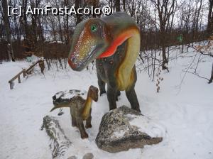 [P12] Magyarosaurus dacus - descoperit în Bazinul Hațeg. » foto by tata123 🔱
 - 
<span class="allrVoted glyphicon glyphicon-heart hidden" id="av1276918"></span>
<a class="m-l-10 hidden" id="sv1276918" onclick="voting_Foto_DelVot(,1276918,18612)" role="button">șterge vot <span class="glyphicon glyphicon-remove"></span></a>
<a id="v91276918" class=" c-red"  onclick="voting_Foto_SetVot(1276918)" role="button"><span class="glyphicon glyphicon-heart-empty"></span> <b>LIKE</b> = Votează poza</a> <img class="hidden"  id="f1276918W9" src="/imagini/loader.gif" border="0" /><span class="AjErrMes hidden" id="e1276918ErM"></span>