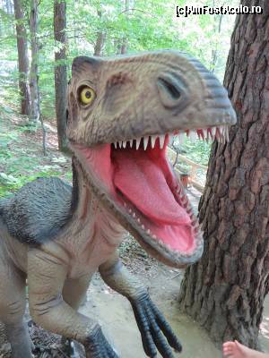 [P14] Dar tot Gheară-Teribilă e mai violent parcă, nu? (Deinonychus)  » foto by tata123 🔱
 - 
<span class="allrVoted glyphicon glyphicon-heart hidden" id="av663813"></span>
<a class="m-l-10 hidden" id="sv663813" onclick="voting_Foto_DelVot(,663813,18612)" role="button">șterge vot <span class="glyphicon glyphicon-remove"></span></a>
<a id="v9663813" class=" c-red"  onclick="voting_Foto_SetVot(663813)" role="button"><span class="glyphicon glyphicon-heart-empty"></span> <b>LIKE</b> = Votează poza</a> <img class="hidden"  id="f663813W9" src="/imagini/loader.gif" border="0" /><span class="AjErrMes hidden" id="e663813ErM"></span>