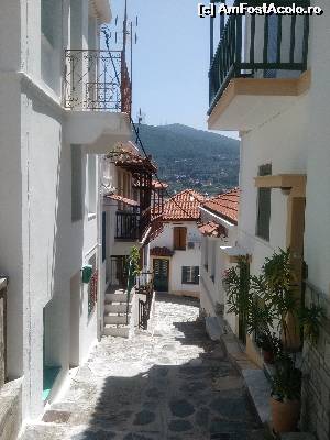 [P16] Hai-hui prin Skopelos-city » foto by dorgo
 - 
<span class="allrVoted glyphicon glyphicon-heart hidden" id="av643836"></span>
<a class="m-l-10 hidden" id="sv643836" onclick="voting_Foto_DelVot(,643836,18640)" role="button">șterge vot <span class="glyphicon glyphicon-remove"></span></a>
<a id="v9643836" class=" c-red"  onclick="voting_Foto_SetVot(643836)" role="button"><span class="glyphicon glyphicon-heart-empty"></span> <b>LIKE</b> = Votează poza</a> <img class="hidden"  id="f643836W9" src="/imagini/loader.gif" border="0" /><span class="AjErrMes hidden" id="e643836ErM"></span>