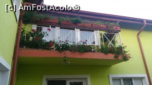 [P18] balconul ”împodobit” cu mușcate » foto by costy69*
 - 
<span class="allrVoted glyphicon glyphicon-heart hidden" id="av794316"></span>
<a class="m-l-10 hidden" id="sv794316" onclick="voting_Foto_DelVot(,794316,18715)" role="button">șterge vot <span class="glyphicon glyphicon-remove"></span></a>
<a id="v9794316" class=" c-red"  onclick="voting_Foto_SetVot(794316)" role="button"><span class="glyphicon glyphicon-heart-empty"></span> <b>LIKE</b> = Votează poza</a> <img class="hidden"  id="f794316W9" src="/imagini/loader.gif" border="0" /><span class="AjErrMes hidden" id="e794316ErM"></span>