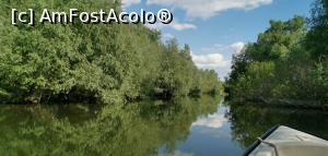 [P33] Excursia de o zi, spre Caraorman. » foto by Aurici
 - 
<span class="allrVoted glyphicon glyphicon-heart hidden" id="av1239027"></span>
<a class="m-l-10 hidden" id="sv1239027" onclick="voting_Foto_DelVot(,1239027,18727)" role="button">șterge vot <span class="glyphicon glyphicon-remove"></span></a>
<a id="v91239027" class=" c-red"  onclick="voting_Foto_SetVot(1239027)" role="button"><span class="glyphicon glyphicon-heart-empty"></span> <b>LIKE</b> = Votează poza</a> <img class="hidden"  id="f1239027W9" src="/imagini/loader.gif" border="0" /><span class="AjErrMes hidden" id="e1239027ErM"></span>