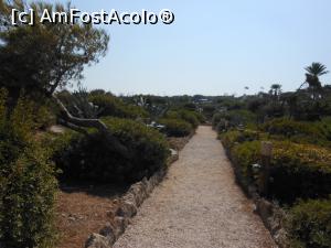 [P27] Kallithea Springs - În grădină.  » foto by iulianic
 - 
<span class="allrVoted glyphicon glyphicon-heart hidden" id="av1007636"></span>
<a class="m-l-10 hidden" id="sv1007636" onclick="voting_Foto_DelVot(,1007636,18817)" role="button">șterge vot <span class="glyphicon glyphicon-remove"></span></a>
<a id="v91007636" class=" c-red"  onclick="voting_Foto_SetVot(1007636)" role="button"><span class="glyphicon glyphicon-heart-empty"></span> <b>LIKE</b> = Votează poza</a> <img class="hidden"  id="f1007636W9" src="/imagini/loader.gif" border="0" /><span class="AjErrMes hidden" id="e1007636ErM"></span>