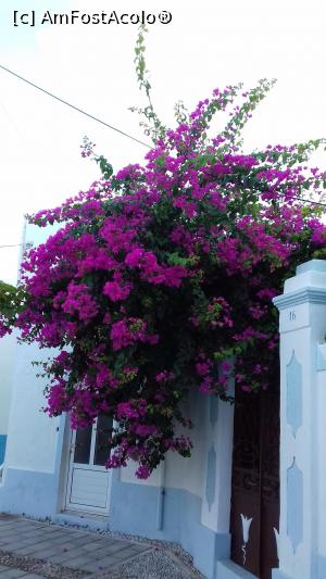 P19 [SEP-2018] Bougainvillea la porţile caselor din Koskinou