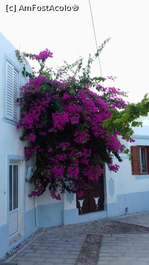 P06 [SEP-2018] Casă cu bougainvillea în Koskinou