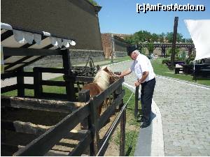 [P09] In viziunea cățelușei nostre, ceea ce vedeți în țarc 
este un tekel bine hrănit, căruia i s-au lungit picioarele, 
standard pe care încearcă și ea sa-l atingă :-)  » foto by FlorinAndrei
 - 
<span class="allrVoted glyphicon glyphicon-heart hidden" id="av614440"></span>
<a class="m-l-10 hidden" id="sv614440" onclick="voting_Foto_DelVot(,614440,18888)" role="button">șterge vot <span class="glyphicon glyphicon-remove"></span></a>
<a id="v9614440" class=" c-red"  onclick="voting_Foto_SetVot(614440)" role="button"><span class="glyphicon glyphicon-heart-empty"></span> <b>LIKE</b> = Votează poza</a> <img class="hidden"  id="f614440W9" src="/imagini/loader.gif" border="0" /><span class="AjErrMes hidden" id="e614440ErM"></span>