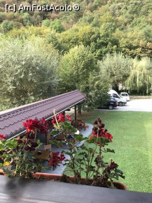 [P42] Mirosul amar al mușcatelor » foto by krisstinna
 - 
<span class="allrVoted glyphicon glyphicon-heart hidden" id="av1193065"></span>
<a class="m-l-10 hidden" id="sv1193065" onclick="voting_Foto_DelVot(,1193065,18901)" role="button">șterge vot <span class="glyphicon glyphicon-remove"></span></a>
<a id="v91193065" class=" c-red"  onclick="voting_Foto_SetVot(1193065)" role="button"><span class="glyphicon glyphicon-heart-empty"></span> <b>LIKE</b> = Votează poza</a> <img class="hidden"  id="f1193065W9" src="/imagini/loader.gif" border="0" /><span class="AjErrMes hidden" id="e1193065ErM"></span>