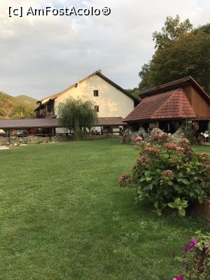 [P53] Prin grădină » foto by krisstinna
 - 
<span class="allrVoted glyphicon glyphicon-heart hidden" id="av1193076"></span>
<a class="m-l-10 hidden" id="sv1193076" onclick="voting_Foto_DelVot(,1193076,18901)" role="button">șterge vot <span class="glyphicon glyphicon-remove"></span></a>
<a id="v91193076" class=" c-red"  onclick="voting_Foto_SetVot(1193076)" role="button"><span class="glyphicon glyphicon-heart-empty"></span> <b>LIKE</b> = Votează poza</a> <img class="hidden"  id="f1193076W9" src="/imagini/loader.gif" border="0" /><span class="AjErrMes hidden" id="e1193076ErM"></span>