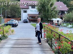 [P08] Pe pod » foto by krisstinna
 - 
<span class="allrVoted glyphicon glyphicon-heart hidden" id="av1193031"></span>
<a class="m-l-10 hidden" id="sv1193031" onclick="voting_Foto_DelVot(,1193031,18901)" role="button">șterge vot <span class="glyphicon glyphicon-remove"></span></a>
<a id="v91193031" class=" c-red"  onclick="voting_Foto_SetVot(1193031)" role="button"><span class="glyphicon glyphicon-heart-empty"></span> <b>LIKE</b> = Votează poza</a> <img class="hidden"  id="f1193031W9" src="/imagini/loader.gif" border="0" /><span class="AjErrMes hidden" id="e1193031ErM"></span>