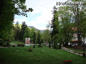 [P34] Ne plimbăm prin parcul ”Dimitrie Ghica” din Sinaia. Ne place aici!  » foto by Floryn81
 - 
<span class="allrVoted glyphicon glyphicon-heart hidden" id="av645932"></span>
<a class="m-l-10 hidden" id="sv645932" onclick="voting_Foto_DelVot(,645932,18914)" role="button">șterge vot <span class="glyphicon glyphicon-remove"></span></a>
<a id="v9645932" class=" c-red"  onclick="voting_Foto_SetVot(645932)" role="button"><span class="glyphicon glyphicon-heart-empty"></span> <b>LIKE</b> = Votează poza</a> <img class="hidden"  id="f645932W9" src="/imagini/loader.gif" border="0" /><span class="AjErrMes hidden" id="e645932ErM"></span>