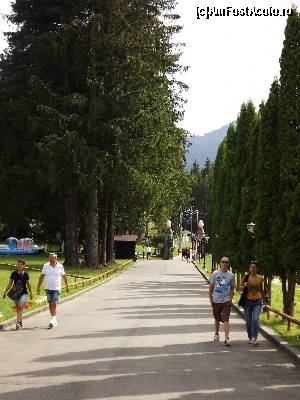 [P16] alee din curtea interioară » foto by robert
 - 
<span class="allrVoted glyphicon glyphicon-heart hidden" id="av646769"></span>
<a class="m-l-10 hidden" id="sv646769" onclick="voting_Foto_DelVot(,646769,18916)" role="button">șterge vot <span class="glyphicon glyphicon-remove"></span></a>
<a id="v9646769" class=" c-red"  onclick="voting_Foto_SetVot(646769)" role="button"><span class="glyphicon glyphicon-heart-empty"></span> <b>LIKE</b> = Votează poza</a> <img class="hidden"  id="f646769W9" src="/imagini/loader.gif" border="0" /><span class="AjErrMes hidden" id="e646769ErM"></span>