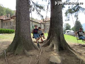 [P46] O idee f. buna pentru copiii- vizitatori » foto by Michi
 - 
<span class="allrVoted glyphicon glyphicon-heart hidden" id="av655770"></span>
<a class="m-l-10 hidden" id="sv655770" onclick="voting_Foto_DelVot(,655770,18916)" role="button">șterge vot <span class="glyphicon glyphicon-remove"></span></a>
<a id="v9655770" class=" c-red"  onclick="voting_Foto_SetVot(655770)" role="button"><span class="glyphicon glyphicon-heart-empty"></span> <b>LIKE</b> = Votează poza</a> <img class="hidden"  id="f655770W9" src="/imagini/loader.gif" border="0" /><span class="AjErrMes hidden" id="e655770ErM"></span>