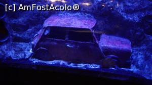[P04] Miniautomobil subacvatic.  » foto by ovidiuyepi
 - 
<span class="allrVoted glyphicon glyphicon-heart hidden" id="av1158464"></span>
<a class="m-l-10 hidden" id="sv1158464" onclick="voting_Foto_DelVot(,1158464,18918)" role="button">șterge vot <span class="glyphicon glyphicon-remove"></span></a>
<a id="v91158464" class=" c-red"  onclick="voting_Foto_SetVot(1158464)" role="button"><span class="glyphicon glyphicon-heart-empty"></span> <b>LIKE</b> = Votează poza</a> <img class="hidden"  id="f1158464W9" src="/imagini/loader.gif" border="0" /><span class="AjErrMes hidden" id="e1158464ErM"></span>