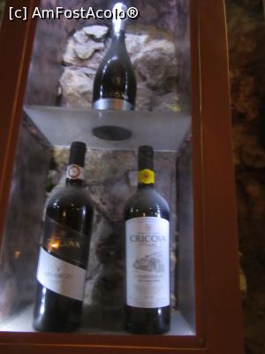 [P16] Mostre de vin » foto by Michi
 - 
<span class="allrVoted glyphicon glyphicon-heart hidden" id="av925990"></span>
<a class="m-l-10 hidden" id="sv925990" onclick="voting_Foto_DelVot(,925990,18928)" role="button">șterge vot <span class="glyphicon glyphicon-remove"></span></a>
<a id="v9925990" class=" c-red"  onclick="voting_Foto_SetVot(925990)" role="button"><span class="glyphicon glyphicon-heart-empty"></span> <b>LIKE</b> = Votează poza</a> <img class="hidden"  id="f925990W9" src="/imagini/loader.gif" border="0" /><span class="AjErrMes hidden" id="e925990ErM"></span>