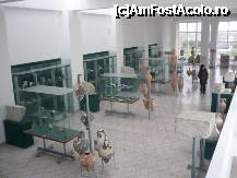 [P03]  -- <small>// FĂRĂ DESCRIERE</small> » foto by lavylus*
 - 
<span class="allrVoted glyphicon glyphicon-heart hidden" id="av170221"></span>
<a class="m-l-10 hidden" id="sv170221" onclick="voting_Foto_DelVot(,170221,18971)" role="button">șterge vot <span class="glyphicon glyphicon-remove"></span></a>
<a id="v9170221" class=" c-red"  onclick="voting_Foto_SetVot(170221)" role="button"><span class="glyphicon glyphicon-heart-empty"></span> <b>LIKE</b> = Votează poza</a> <img class="hidden"  id="f170221W9" src="/imagini/loader.gif" border="0" /><span class="AjErrMes hidden" id="e170221ErM"></span>