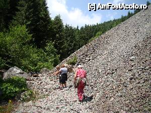 [P06] ['Cascada Vârciorog'] / Ceva mișca în albia pârâului.  » foto by Utube
 - 
<span class="allrVoted glyphicon glyphicon-heart hidden" id="av400411"></span>
<a class="m-l-10 hidden" id="sv400411" onclick="voting_Foto_DelVot(,400411,19078)" role="button">șterge vot <span class="glyphicon glyphicon-remove"></span></a>
<a id="v9400411" class=" c-red"  onclick="voting_Foto_SetVot(400411)" role="button"><span class="glyphicon glyphicon-heart-empty"></span> <b>LIKE</b> = Votează poza</a> <img class="hidden"  id="f400411W9" src="/imagini/loader.gif" border="0" /><span class="AjErrMes hidden" id="e400411ErM"></span>