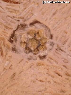 [P12] Tavanul din piatra » foto by Coca Dosky
 - 
<span class="allrVoted glyphicon glyphicon-heart hidden" id="av658112"></span>
<a class="m-l-10 hidden" id="sv658112" onclick="voting_Foto_DelVot(,658112,19155)" role="button">șterge vot <span class="glyphicon glyphicon-remove"></span></a>
<a id="v9658112" class=" c-red"  onclick="voting_Foto_SetVot(658112)" role="button"><span class="glyphicon glyphicon-heart-empty"></span> <b>LIKE</b> = Votează poza</a> <img class="hidden"  id="f658112W9" src="/imagini/loader.gif" border="0" /><span class="AjErrMes hidden" id="e658112ErM"></span>