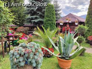 [P11] Restaurant Orizont - grădina » foto by crismis
 - 
<span class="allrVoted glyphicon glyphicon-heart hidden" id="av1416315"></span>
<a class="m-l-10 hidden" id="sv1416315" onclick="voting_Foto_DelVot(,1416315,19156)" role="button">șterge vot <span class="glyphicon glyphicon-remove"></span></a>
<a id="v91416315" class=" c-red"  onclick="voting_Foto_SetVot(1416315)" role="button"><span class="glyphicon glyphicon-heart-empty"></span> <b>LIKE</b> = Votează poza</a> <img class="hidden"  id="f1416315W9" src="/imagini/loader.gif" border="0" /><span class="AjErrMes hidden" id="e1416315ErM"></span>