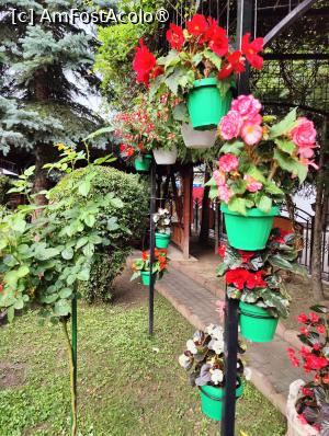 [P02] Restaurant Orizont - grădina » foto by crismis
 - 
<span class="allrVoted glyphicon glyphicon-heart hidden" id="av1416306"></span>
<a class="m-l-10 hidden" id="sv1416306" onclick="voting_Foto_DelVot(,1416306,19156)" role="button">șterge vot <span class="glyphicon glyphicon-remove"></span></a>
<a id="v91416306" class=" c-red"  onclick="voting_Foto_SetVot(1416306)" role="button"><span class="glyphicon glyphicon-heart-empty"></span> <b>LIKE</b> = Votează poza</a> <img class="hidden"  id="f1416306W9" src="/imagini/loader.gif" border="0" /><span class="AjErrMes hidden" id="e1416306ErM"></span>