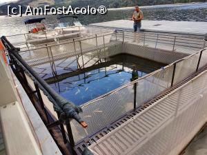 [P26] Restaurant Lebăda; o parte din crescătoria proprie » foto by crismis
 - 
<span class="allrVoted glyphicon glyphicon-heart hidden" id="av1416676"></span>
<a class="m-l-10 hidden" id="sv1416676" onclick="voting_Foto_DelVot(,1416676,19156)" role="button">șterge vot <span class="glyphicon glyphicon-remove"></span></a>
<a id="v91416676" class=" c-red"  onclick="voting_Foto_SetVot(1416676)" role="button"><span class="glyphicon glyphicon-heart-empty"></span> <b>LIKE</b> = Votează poza</a> <img class="hidden"  id="f1416676W9" src="/imagini/loader.gif" border="0" /><span class="AjErrMes hidden" id="e1416676ErM"></span>