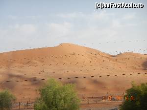 [P19] Dune in Al Ain.  » foto by rora
 - 
<span class="allrVoted glyphicon glyphicon-heart hidden" id="av665147"></span>
<a class="m-l-10 hidden" id="sv665147" onclick="voting_Foto_DelVot(,665147,19269)" role="button">șterge vot <span class="glyphicon glyphicon-remove"></span></a>
<a id="v9665147" class=" c-red"  onclick="voting_Foto_SetVot(665147)" role="button"><span class="glyphicon glyphicon-heart-empty"></span> <b>LIKE</b> = Votează poza</a> <img class="hidden"  id="f665147W9" src="/imagini/loader.gif" border="0" /><span class="AjErrMes hidden" id="e665147ErM"></span>