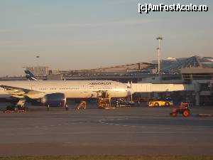 [P02] Moscova Aeroport Sheremetyevo airbus AEROFLOT, A330-300 se pregătește să ne ducă la Tokyo » foto by mprofeanu
 - 
<span class="allrVoted glyphicon glyphicon-heart hidden" id="av671617"></span>
<a class="m-l-10 hidden" id="sv671617" onclick="voting_Foto_DelVot(,671617,19376)" role="button">șterge vot <span class="glyphicon glyphicon-remove"></span></a>
<a id="v9671617" class=" c-red"  onclick="voting_Foto_SetVot(671617)" role="button"><span class="glyphicon glyphicon-heart-empty"></span> <b>LIKE</b> = Votează poza</a> <img class="hidden"  id="f671617W9" src="/imagini/loader.gif" border="0" /><span class="AjErrMes hidden" id="e671617ErM"></span>