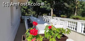 [P34] Terasa restaurantului » foto by gettyy
 - 
<span class="allrVoted glyphicon glyphicon-heart hidden" id="av1165272"></span>
<a class="m-l-10 hidden" id="sv1165272" onclick="voting_Foto_DelVot(,1165272,19447)" role="button">șterge vot <span class="glyphicon glyphicon-remove"></span></a>
<a id="v91165272" class=" c-red"  onclick="voting_Foto_SetVot(1165272)" role="button"><span class="glyphicon glyphicon-heart-empty"></span> <b>LIKE</b> = Votează poza</a> <img class="hidden"  id="f1165272W9" src="/imagini/loader.gif" border="0" /><span class="AjErrMes hidden" id="e1165272ErM"></span>