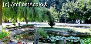 [P41] Lacul cu nuferi - vara 2019 » foto by gettyy
 - 
<span class="allrVoted glyphicon glyphicon-heart hidden" id="av1165279"></span>
<a class="m-l-10 hidden" id="sv1165279" onclick="voting_Foto_DelVot(,1165279,19447)" role="button">șterge vot <span class="glyphicon glyphicon-remove"></span></a>
<a id="v91165279" class=" c-red"  onclick="voting_Foto_SetVot(1165279)" role="button"><span class="glyphicon glyphicon-heart-empty"></span> <b>LIKE</b> = Votează poza</a> <img class="hidden"  id="f1165279W9" src="/imagini/loader.gif" border="0" /><span class="AjErrMes hidden" id="e1165279ErM"></span>