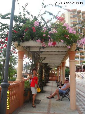 [P41] Pe faleza din Benalmadena » foto by viorica purdel
 - 
<span class="allrVoted glyphicon glyphicon-heart hidden" id="av684618"></span>
<a class="m-l-10 hidden" id="sv684618" onclick="voting_Foto_DelVot(,684618,19457)" role="button">șterge vot <span class="glyphicon glyphicon-remove"></span></a>
<a id="v9684618" class=" c-red"  onclick="voting_Foto_SetVot(684618)" role="button"><span class="glyphicon glyphicon-heart-empty"></span> <b>LIKE</b> = Votează poza</a> <img class="hidden"  id="f684618W9" src="/imagini/loader.gif" border="0" /><span class="AjErrMes hidden" id="e684618ErM"></span>